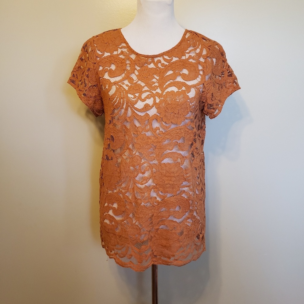 LOFT | lace short sleeve top